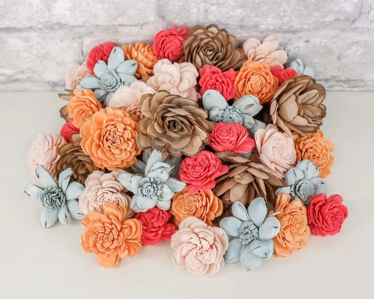 Seashell Mini Assortment - Image 4