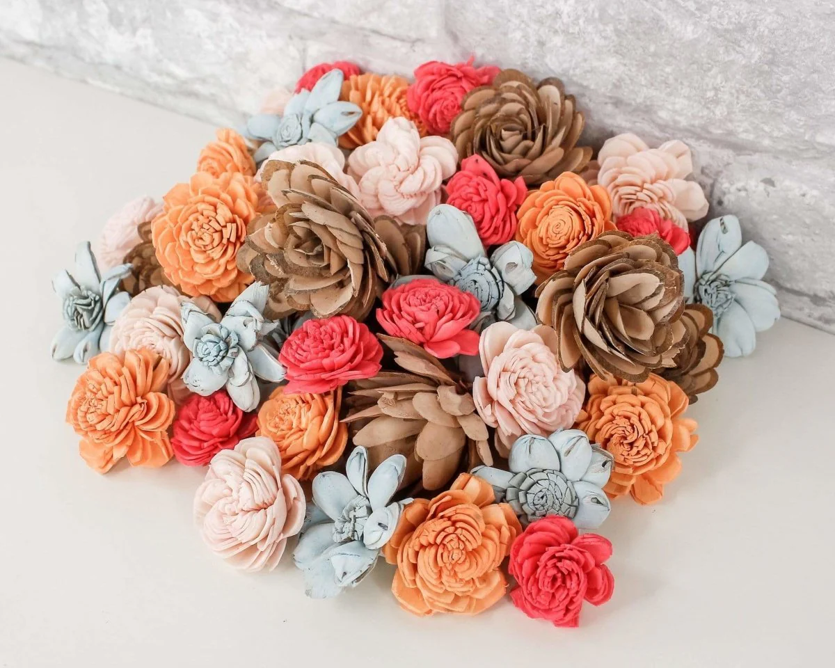 Seashell Mini Assortment - Image 5