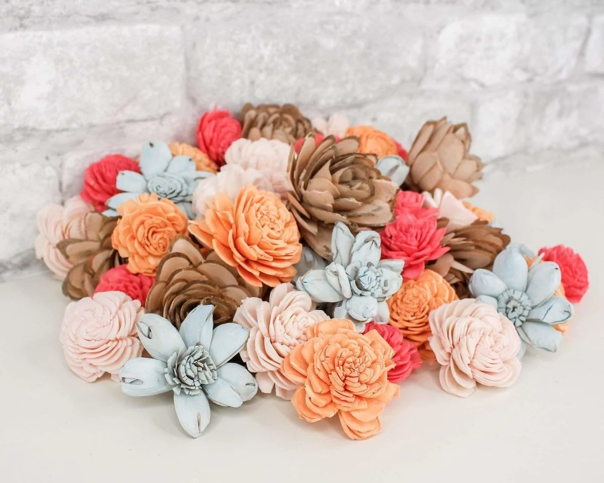 Seashell Mini Assortment - Image 6