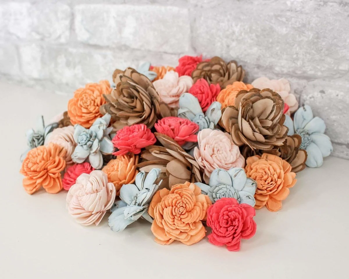 Seashell Mini Assortment - Image 7