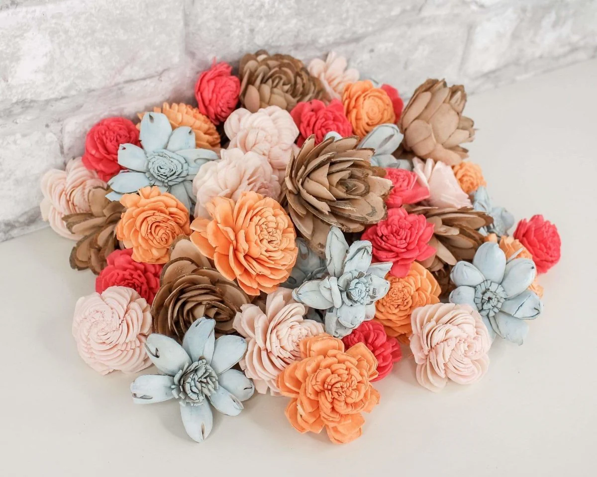 Seashell Mini Assortment - Image 8