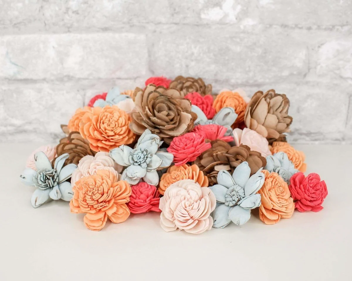 Seashell Mini Assortment - Image 9