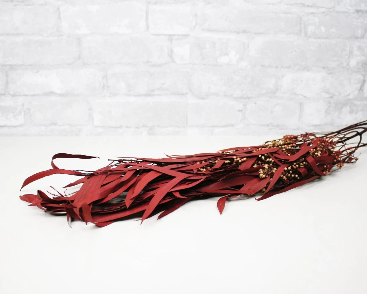 Seeded Willow Eucalyptus - Red - Image 3