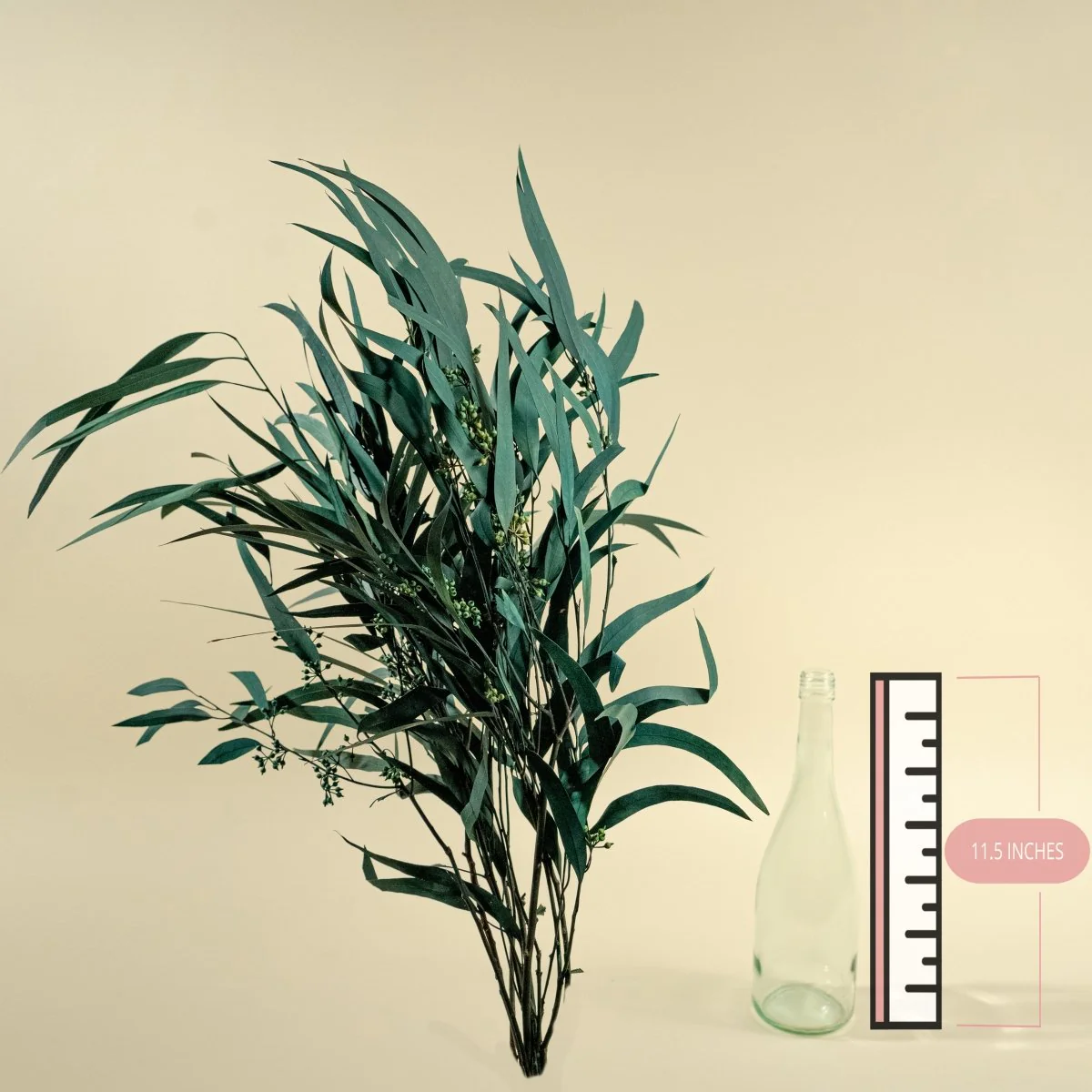 Seeded Willow Eucalyptus - Teal - Image 2