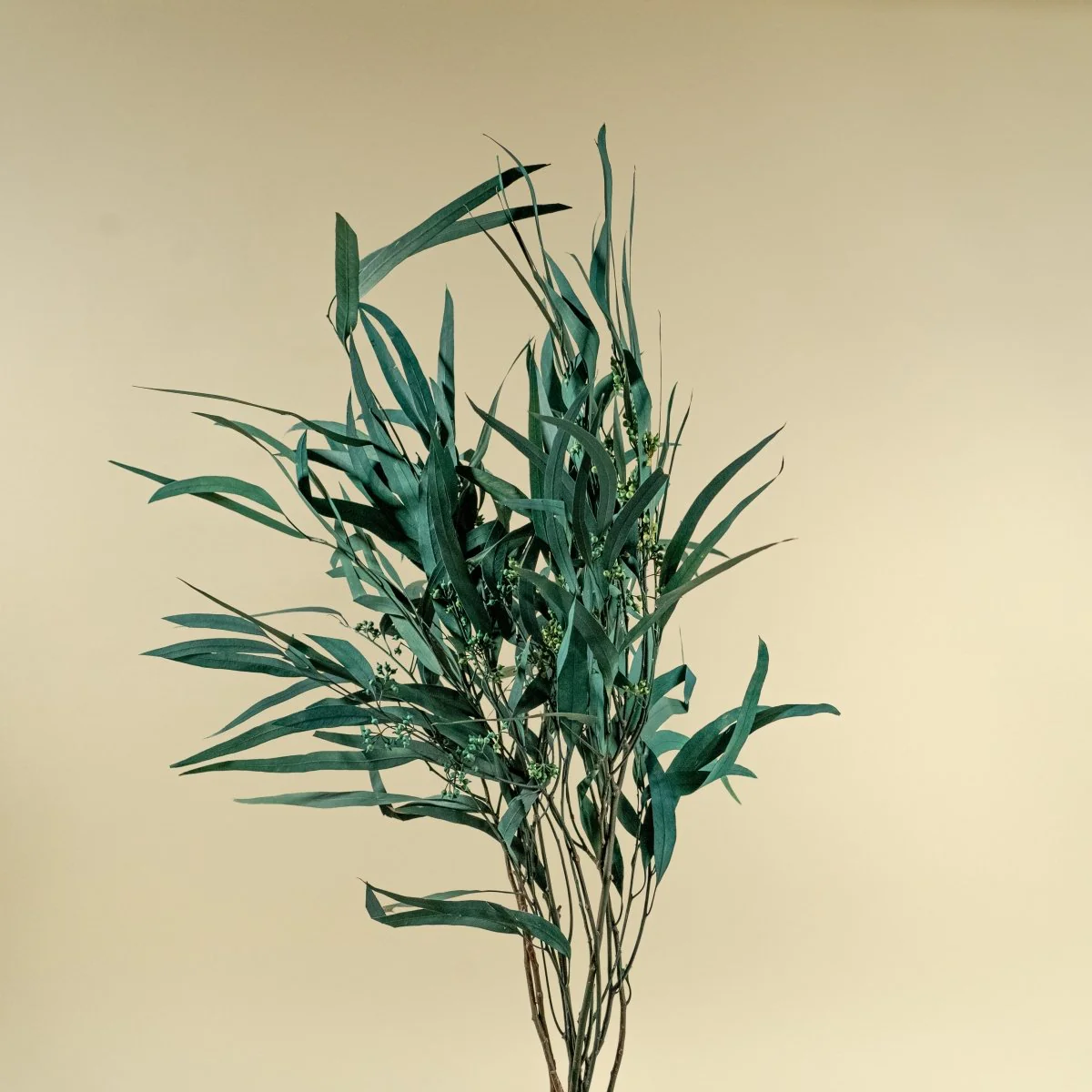 Seeded Willow Eucalyptus - Teal - Image 3