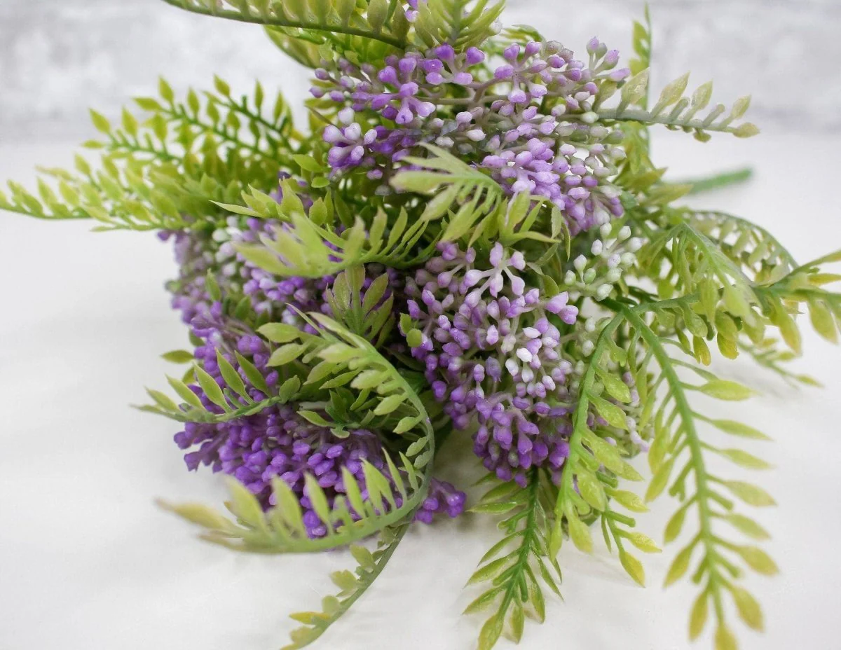 Skimmia Bush - Purple - Image 2