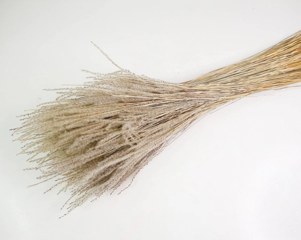 Snowdrop Grass - Natural - Image 2