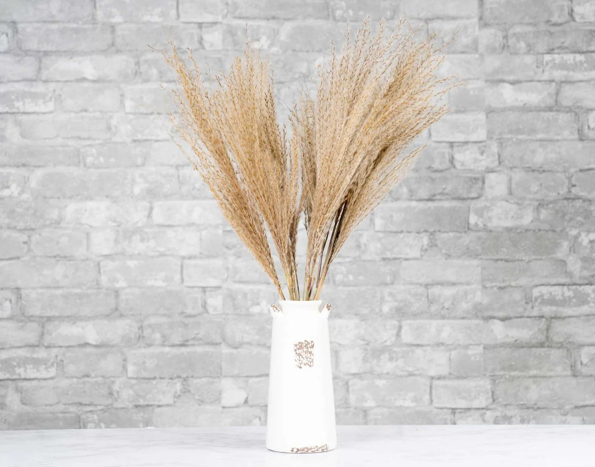 Soft Miscanthus - Natural - Image 5