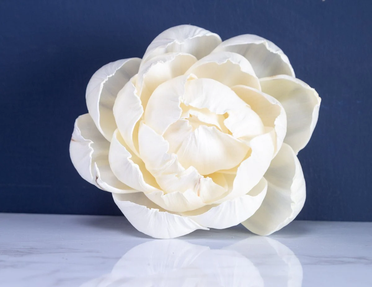 4" Sorbet Peony (10 Pack) - Image 3