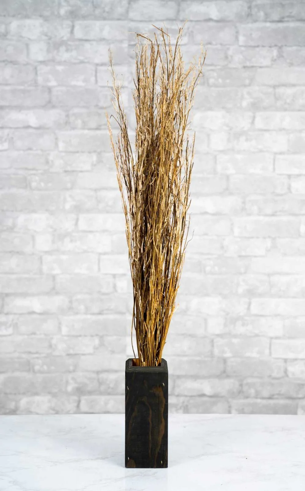 Sorso Tree - Image 3