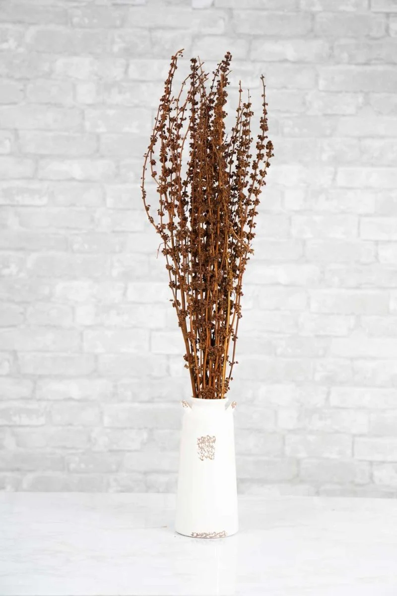 Stag Grass - Image 3
