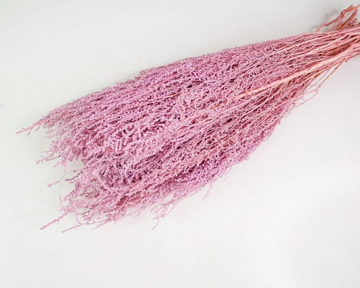 Stoebe - Light Pink - Image 2