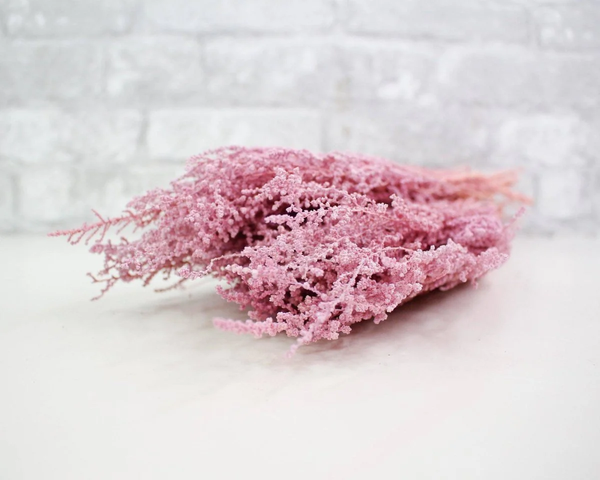Stoebe - Light Pink - Image 3
