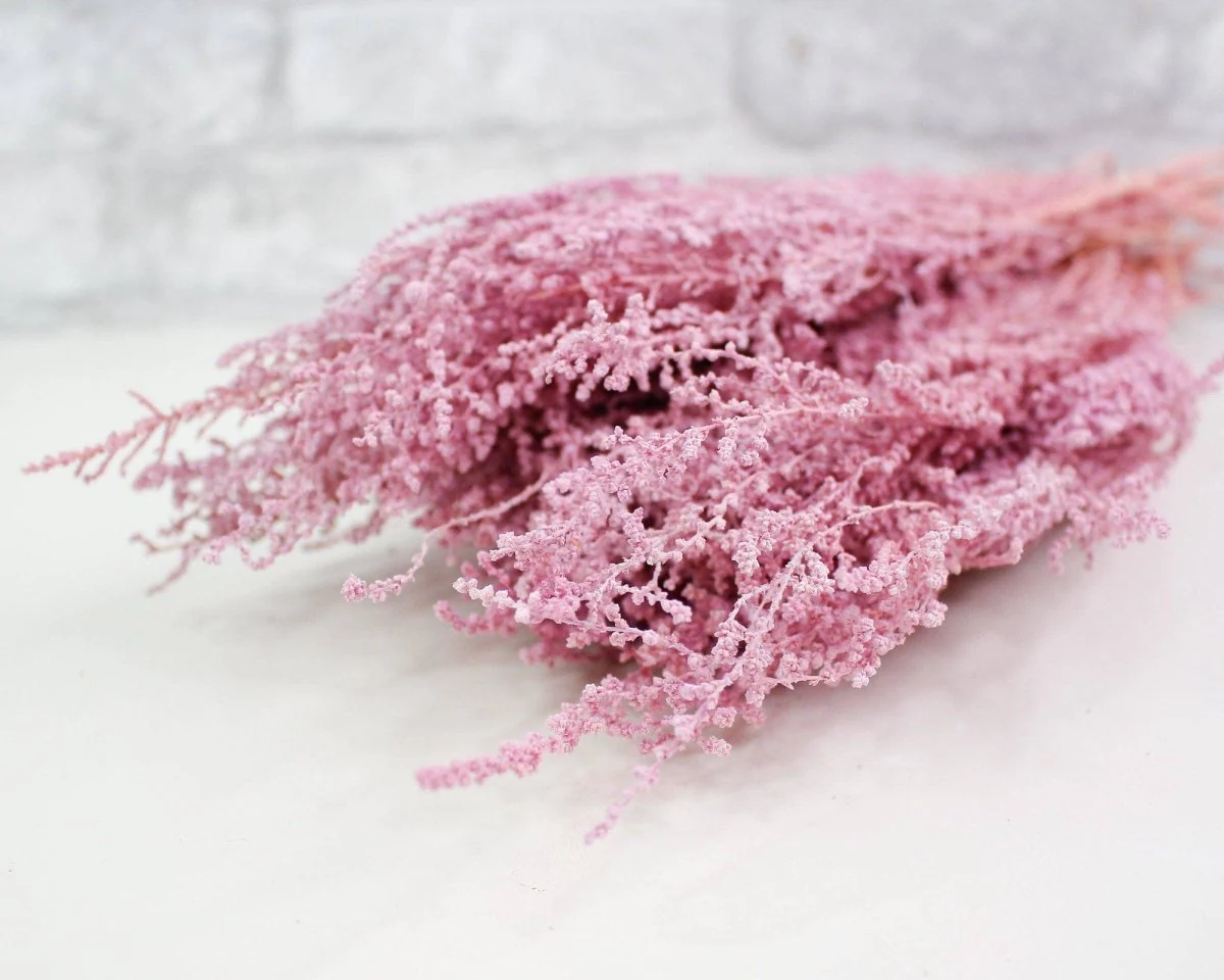 Stoebe - Light Pink - Image 4