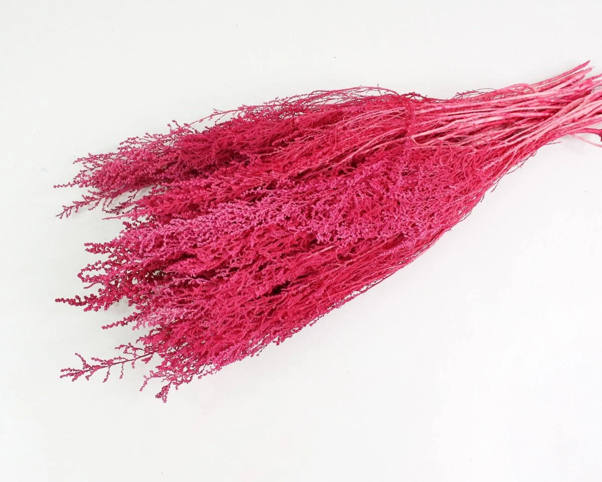 Stoebe - Raspberry - Image 2