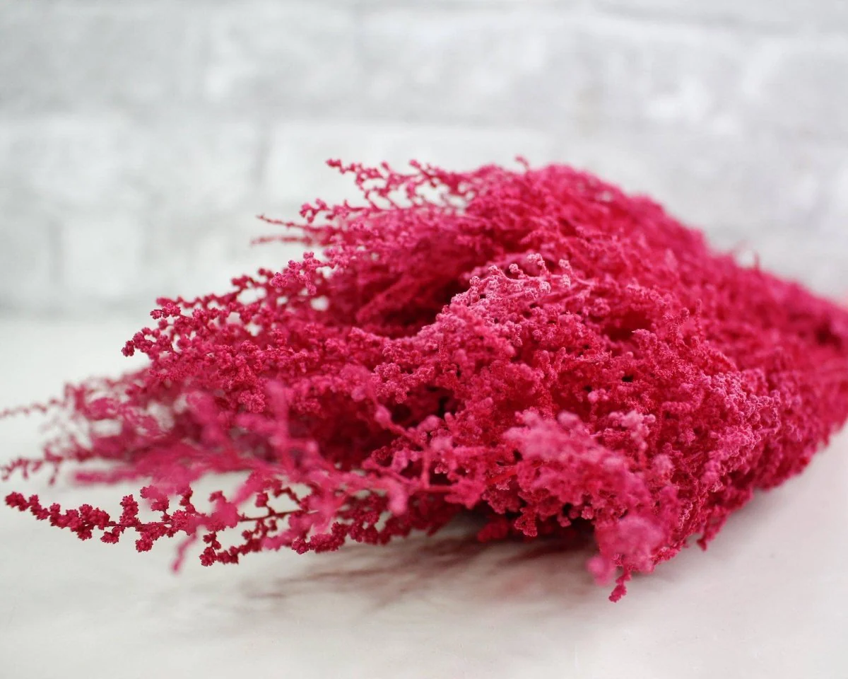 Stoebe - Raspberry - Image 3