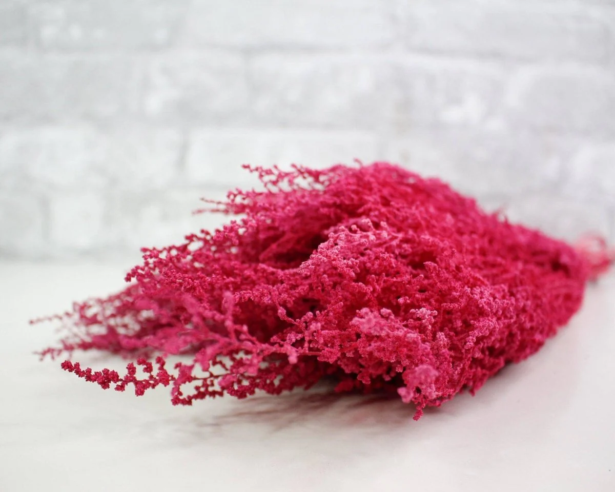 Stoebe - Raspberry - Image 4