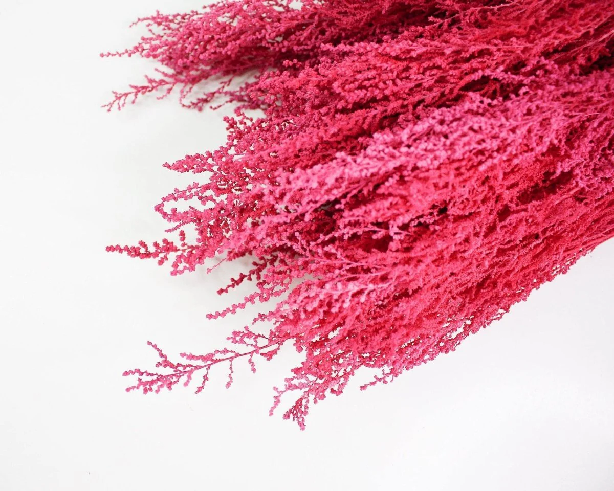 Stoebe - Raspberry - Image 5