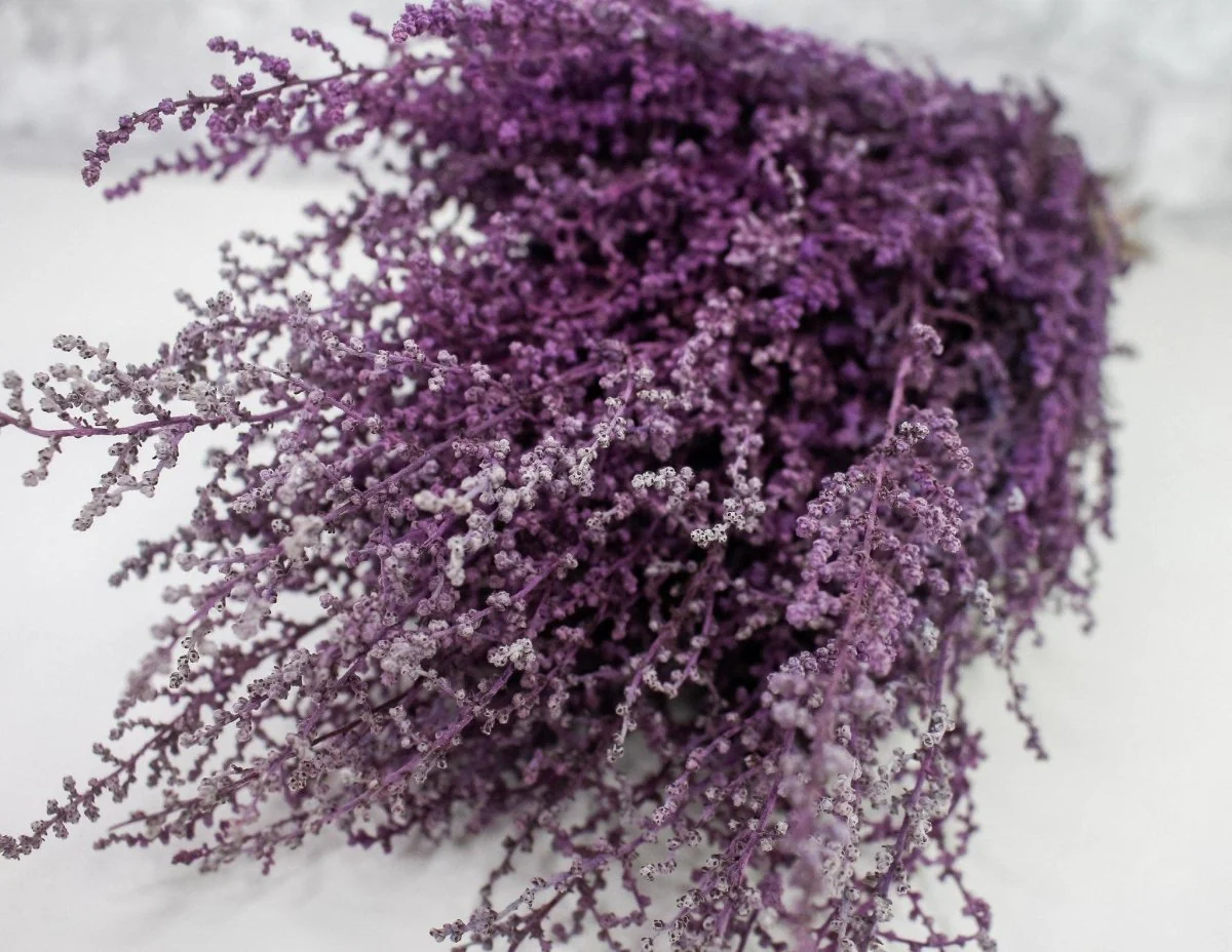 Stoebe - Violet - Image 3