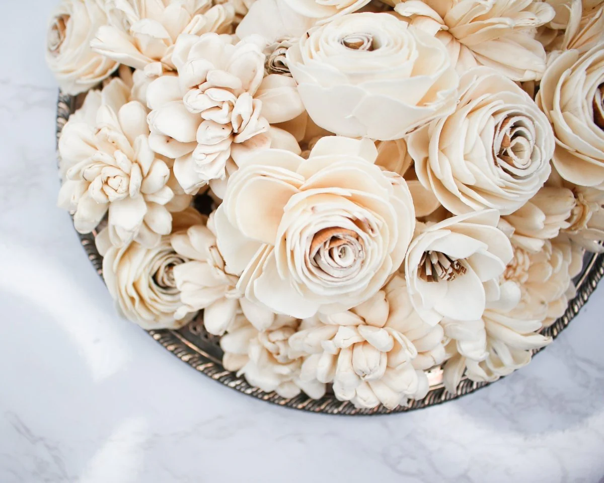 Succulent Raw Assortment - Image 5
