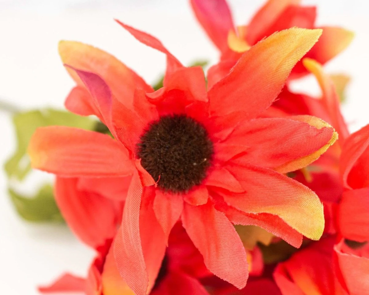 Sunflower Bush - Rust - Image 2