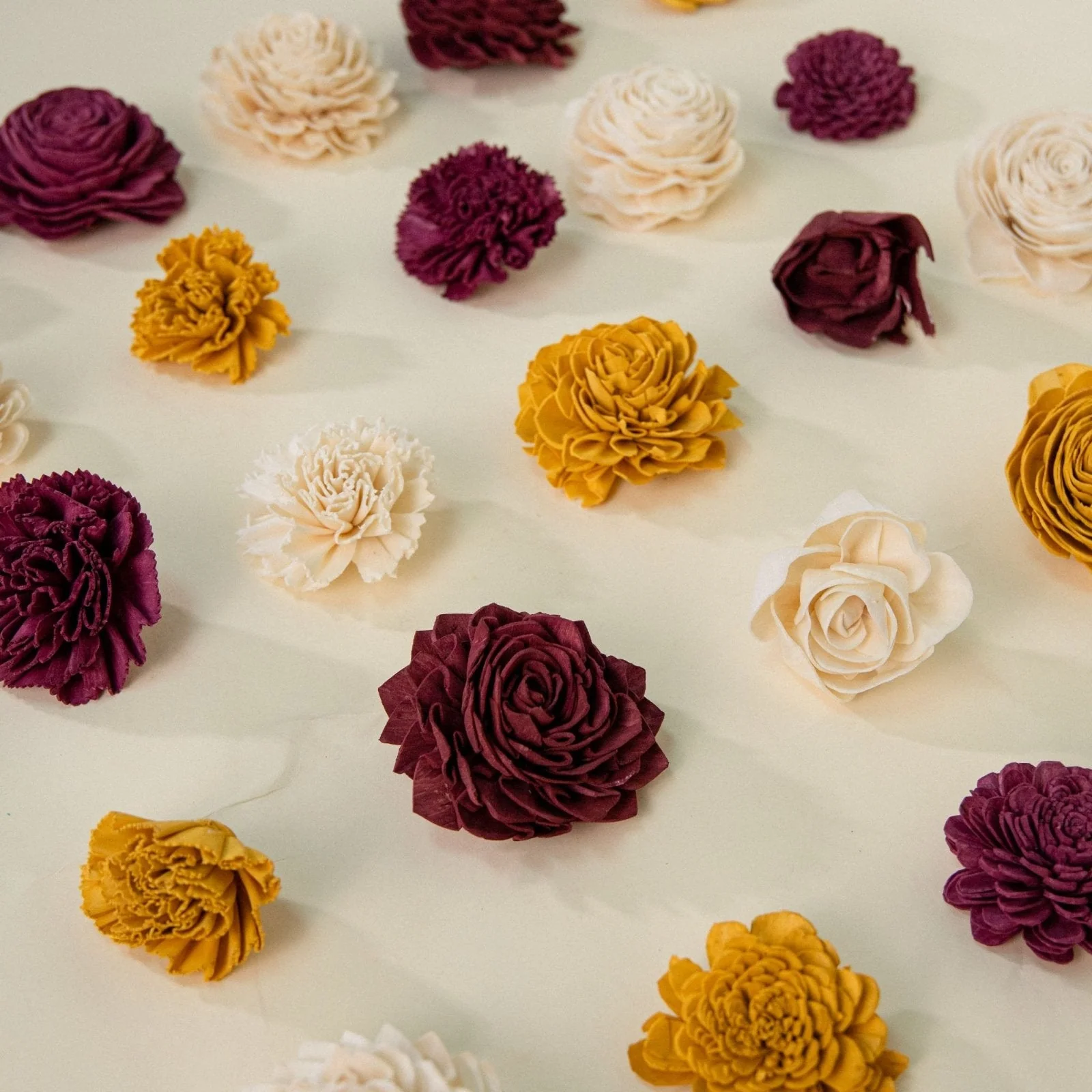 Sunflower Daze Dyed Assortment 25 Pack - No Bark - Image 2