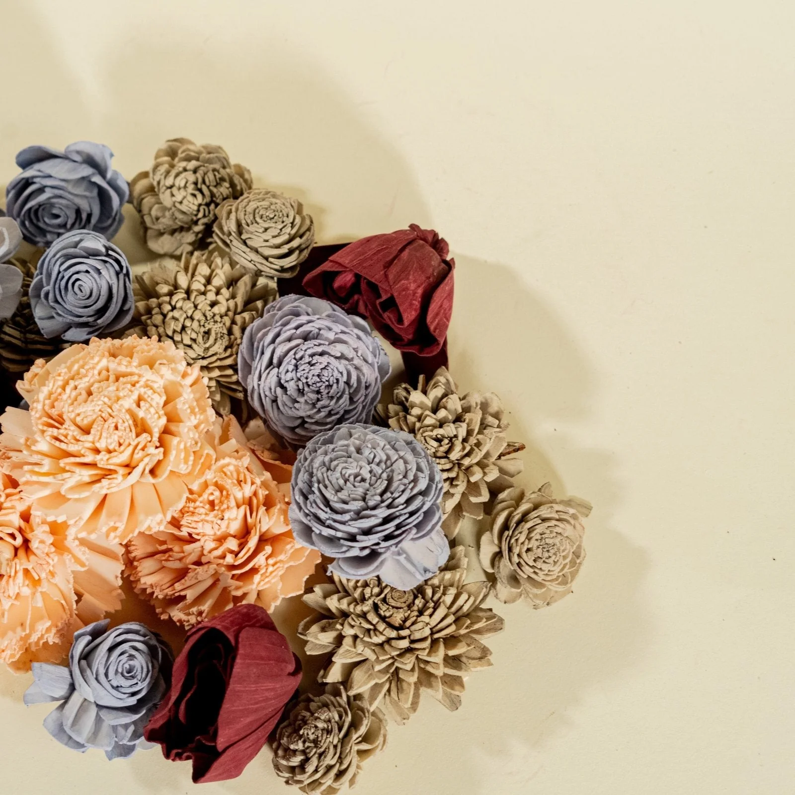 Twitterpated Assortment - Image 6