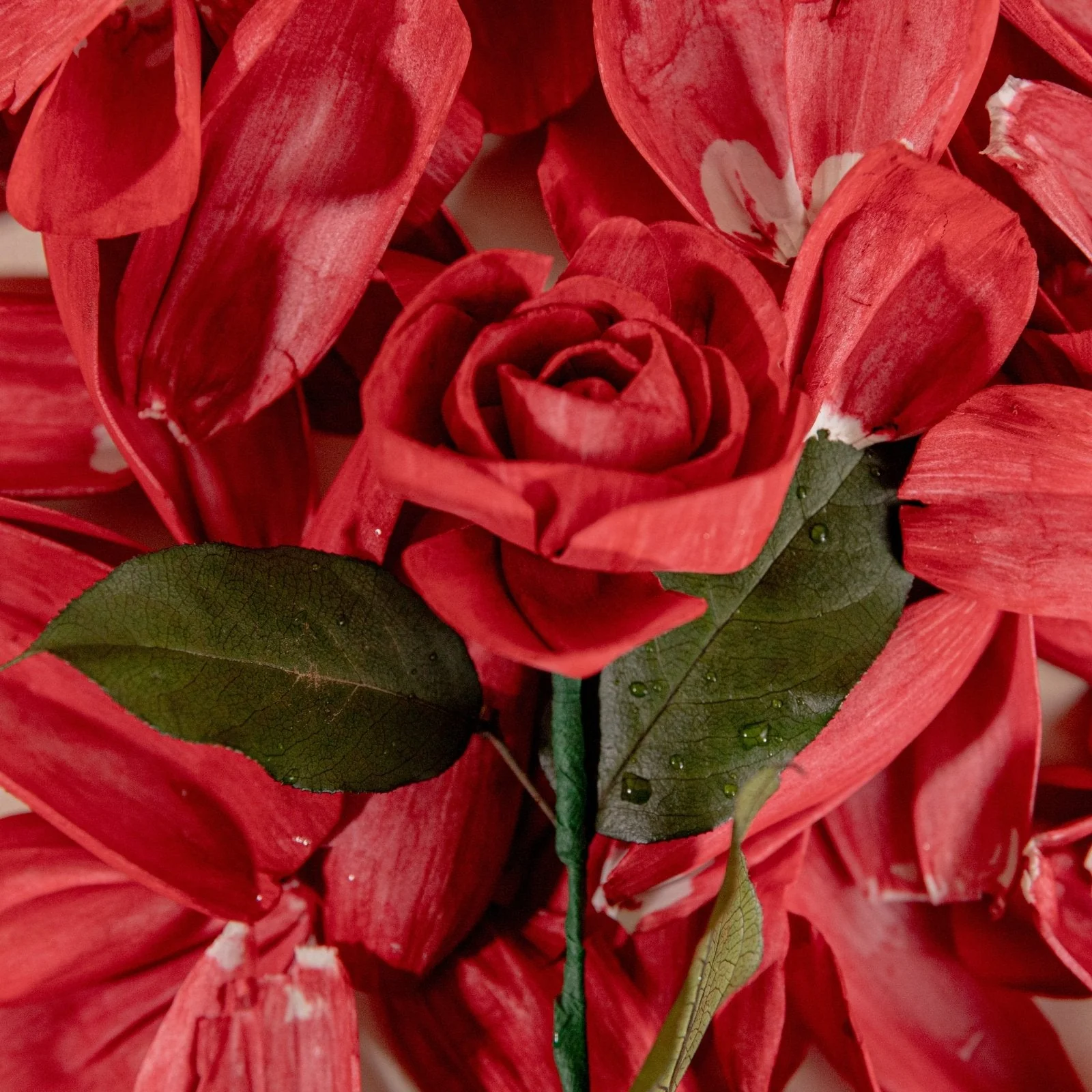 Rose Petals (40 Pack) - Image 2