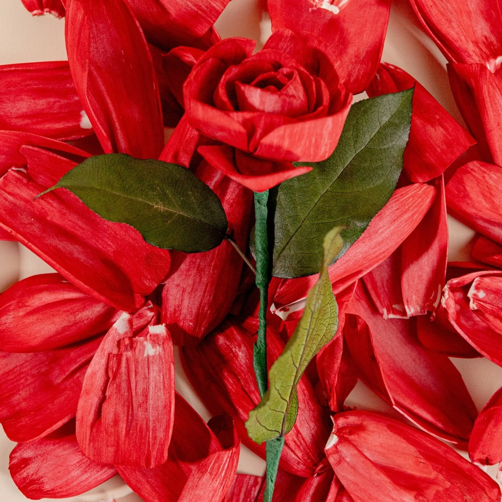 Rose Petals (40 Pack) - Image 3