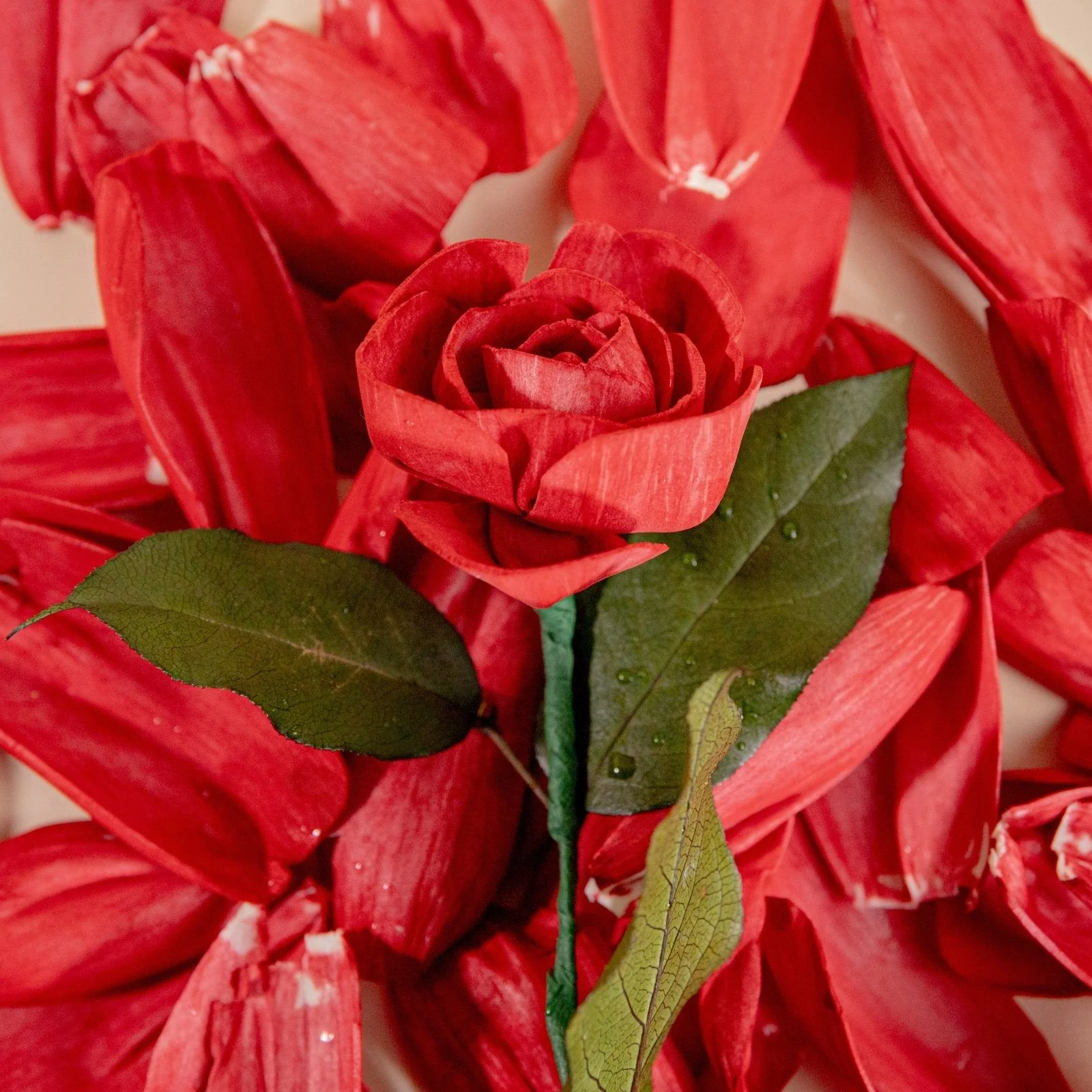Rose Petals (40 Pack) - Image 5