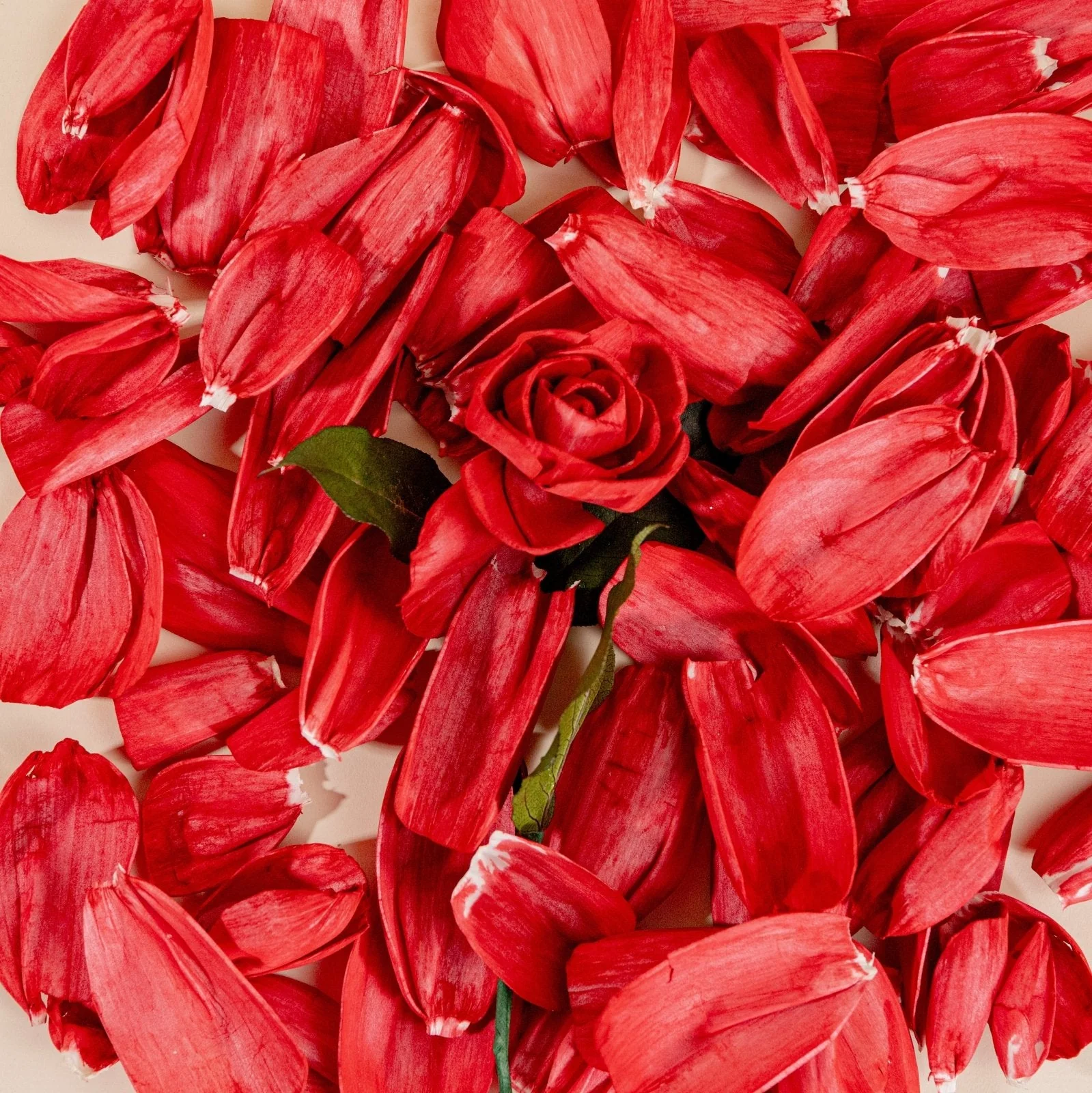 Rose Petals (40 Pack) - Image 6