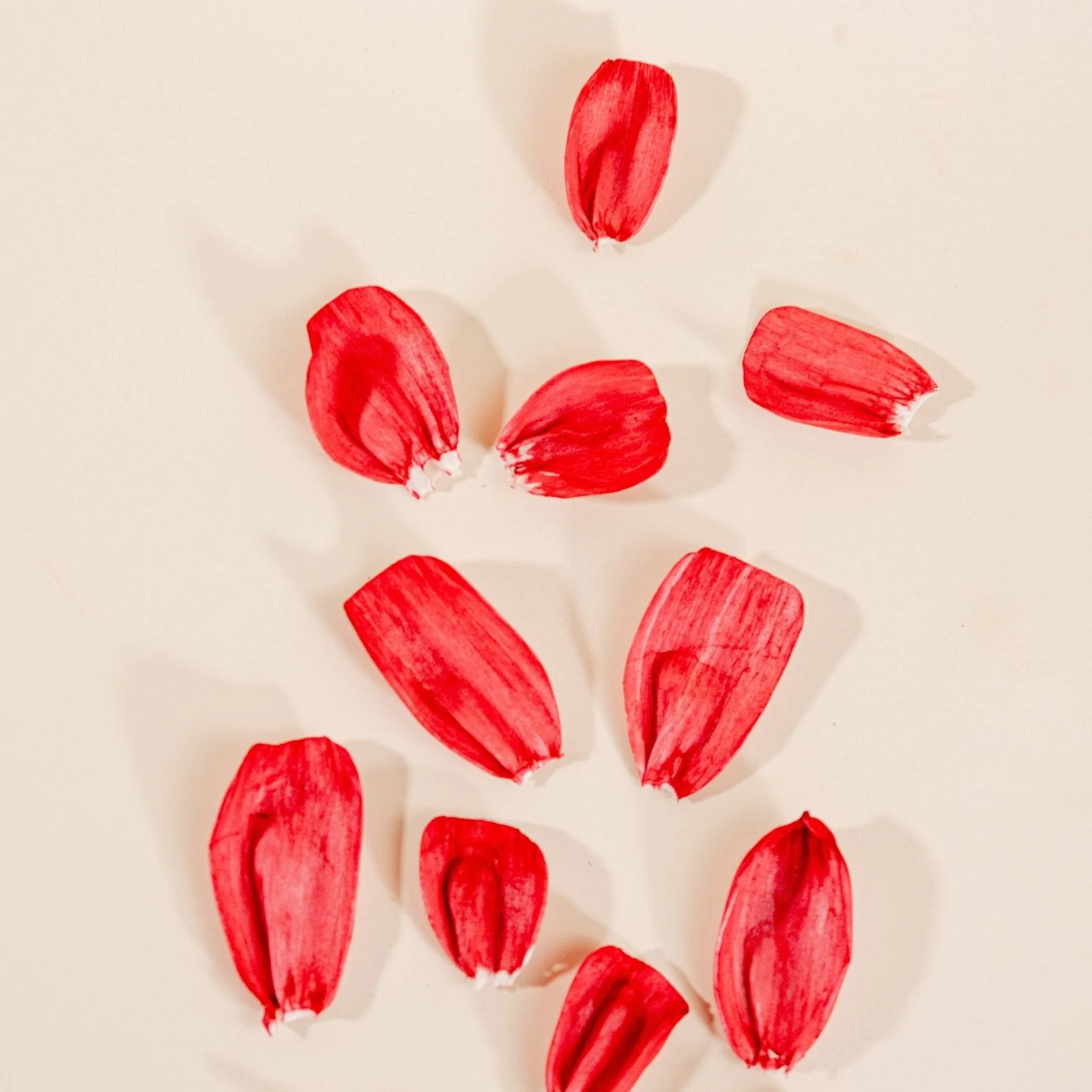 Rose Petals (40 Pack) - Image 7