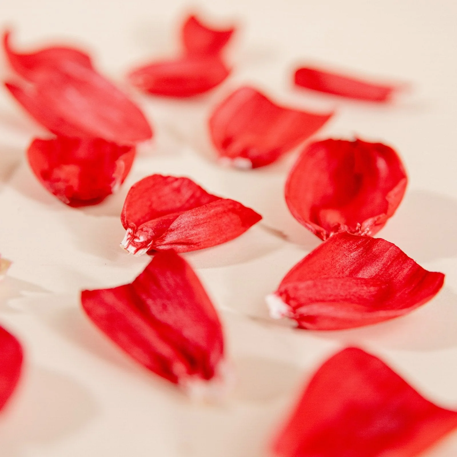 Rose Petals (40 Pack) - Image 8