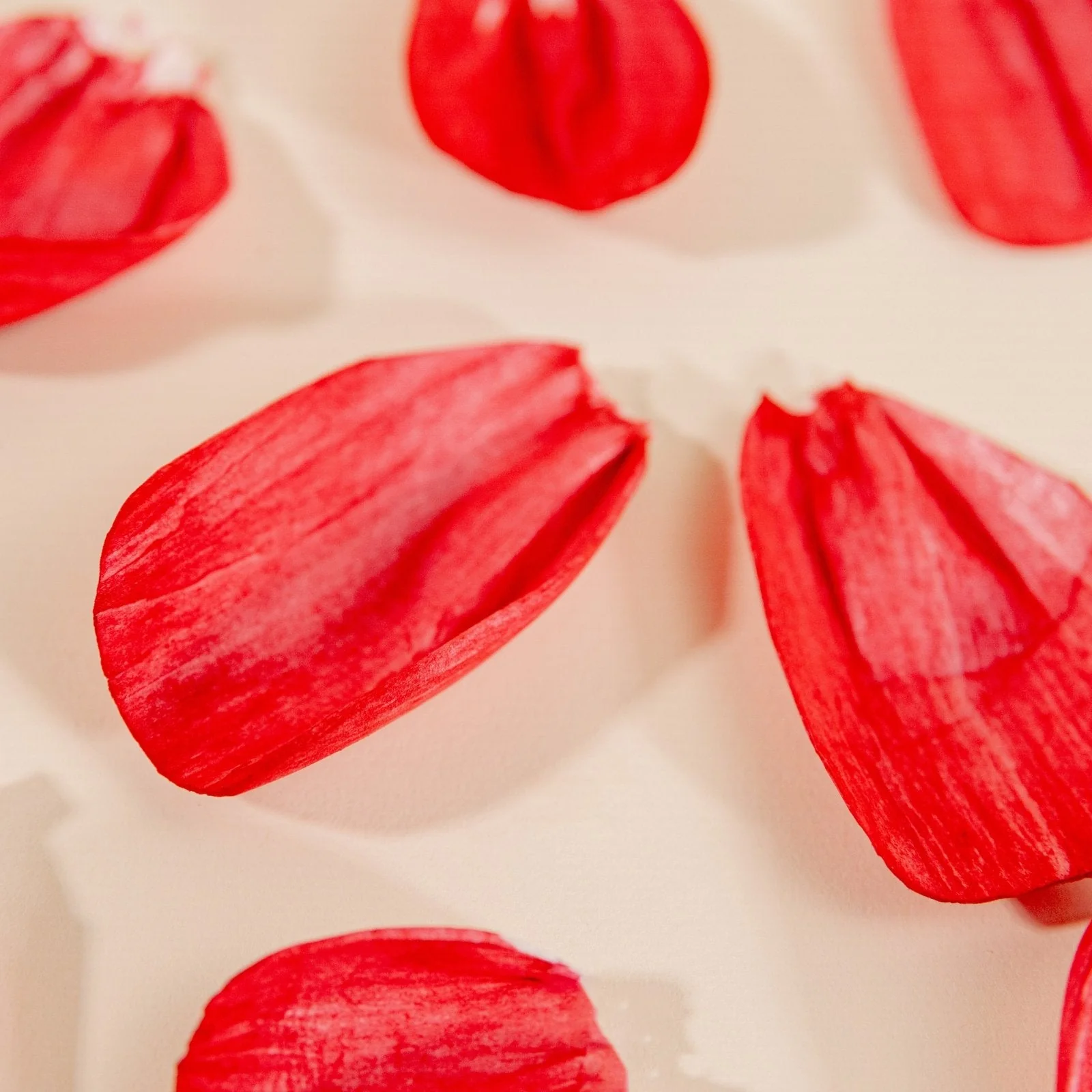 Rose Petals (40 Pack) - Image 9