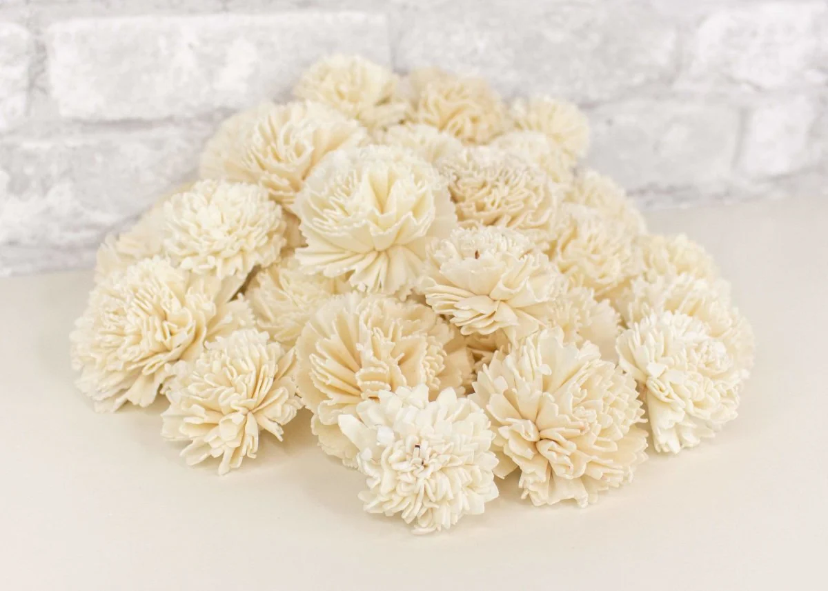 Carnation Variety Pack - Image 3