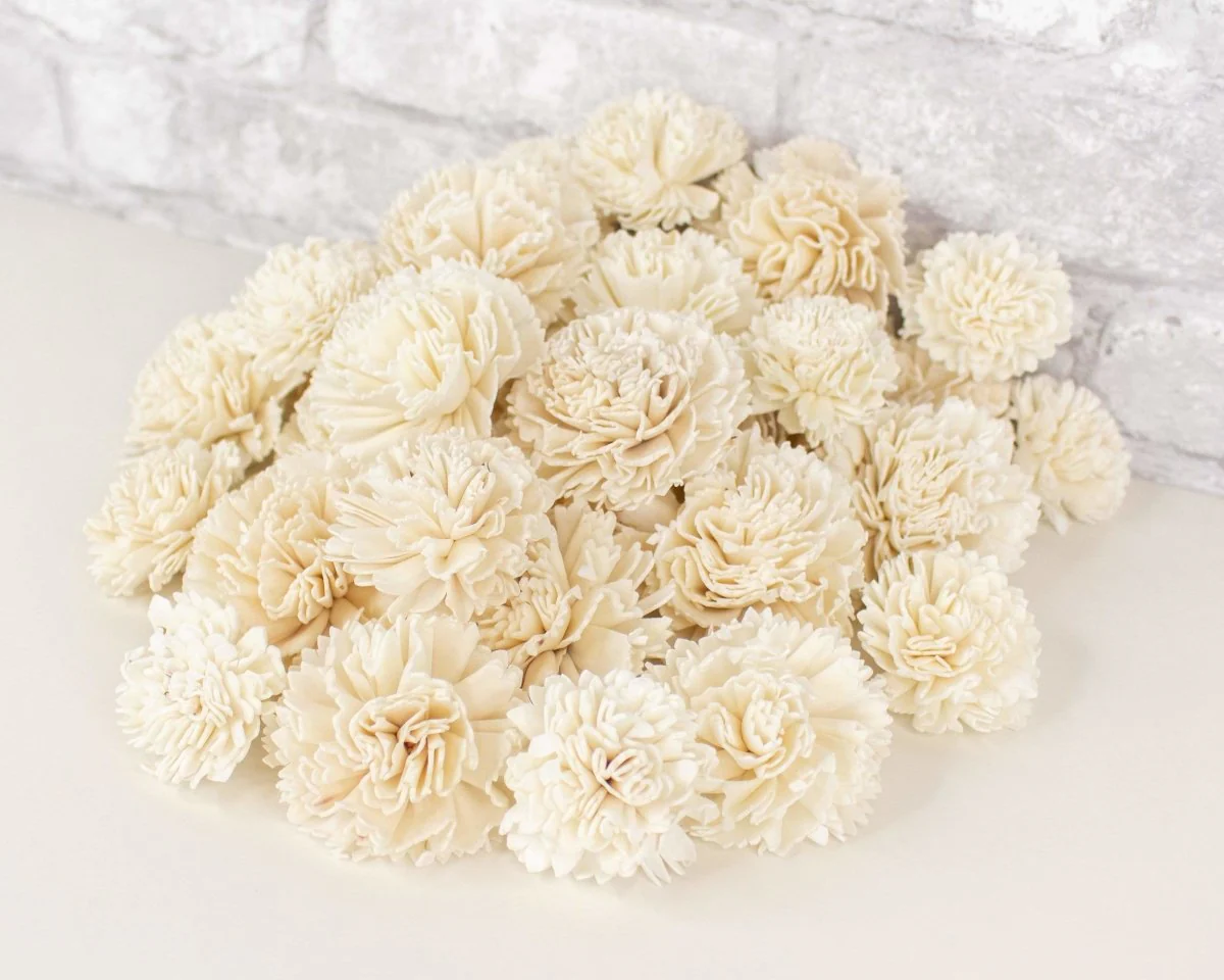Carnation Variety Pack - Image 4