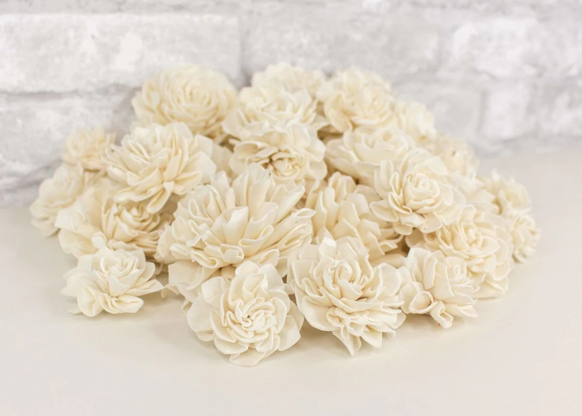 Dahlia Variety Pack - Image 3