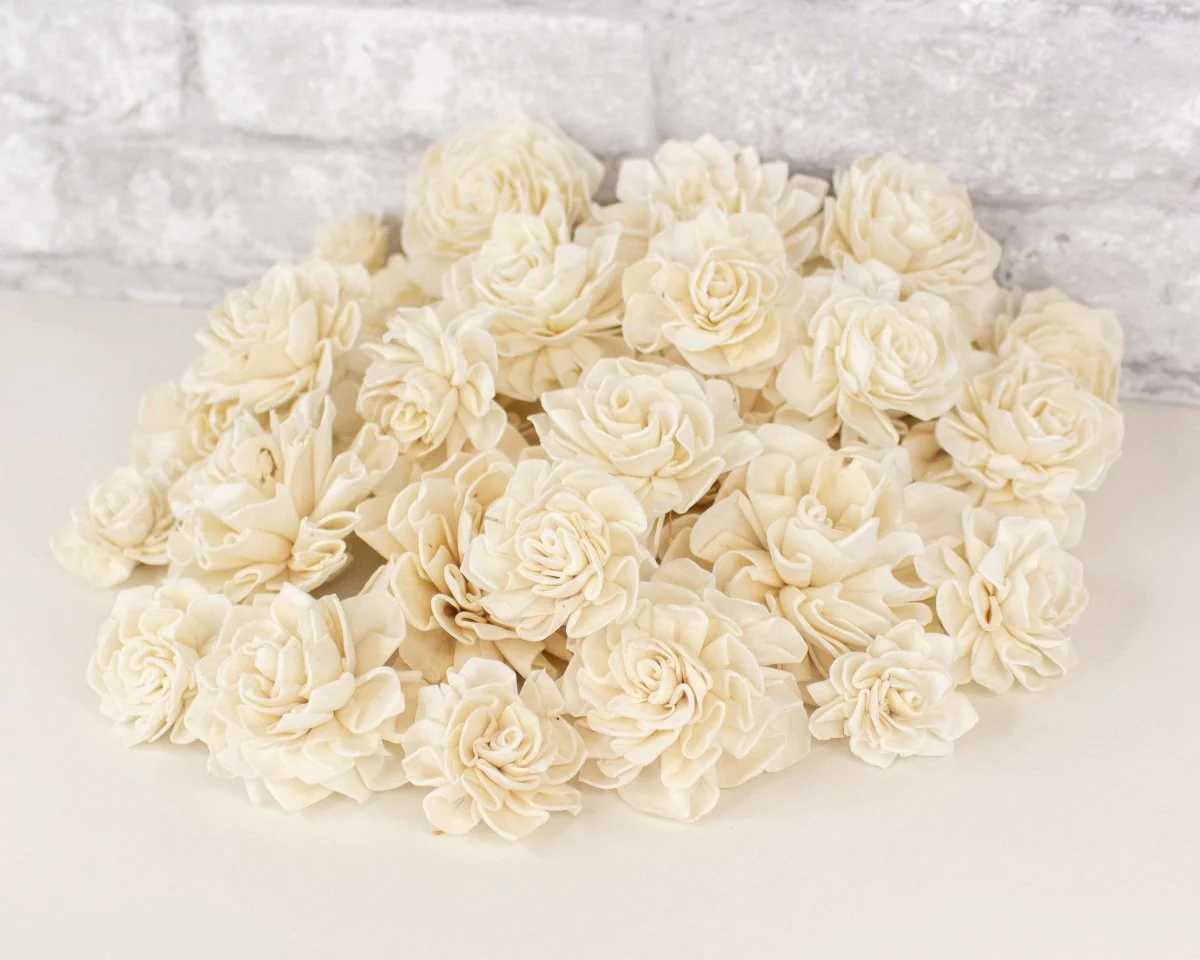 Dahlia Variety Pack - Image 4