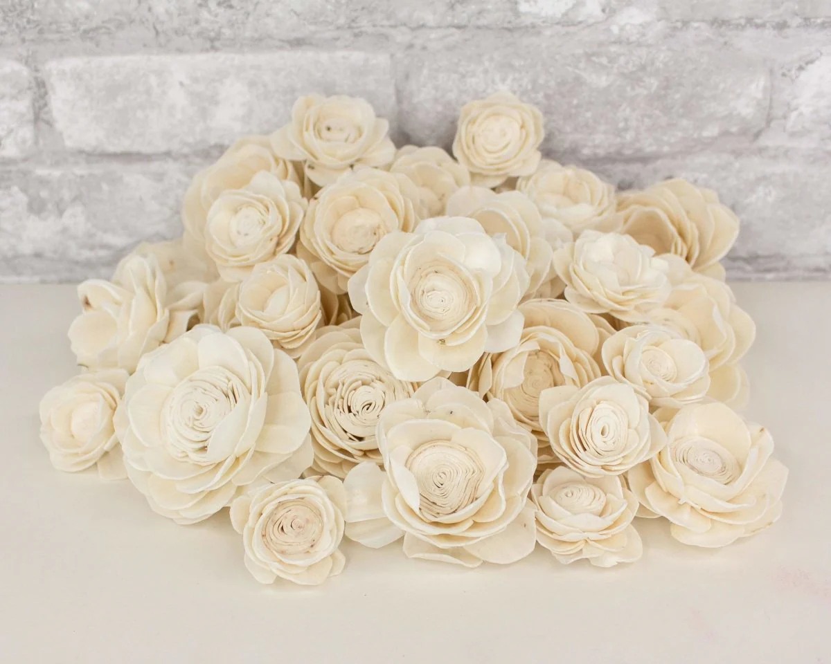 Lotus Variety Pack - Image 3
