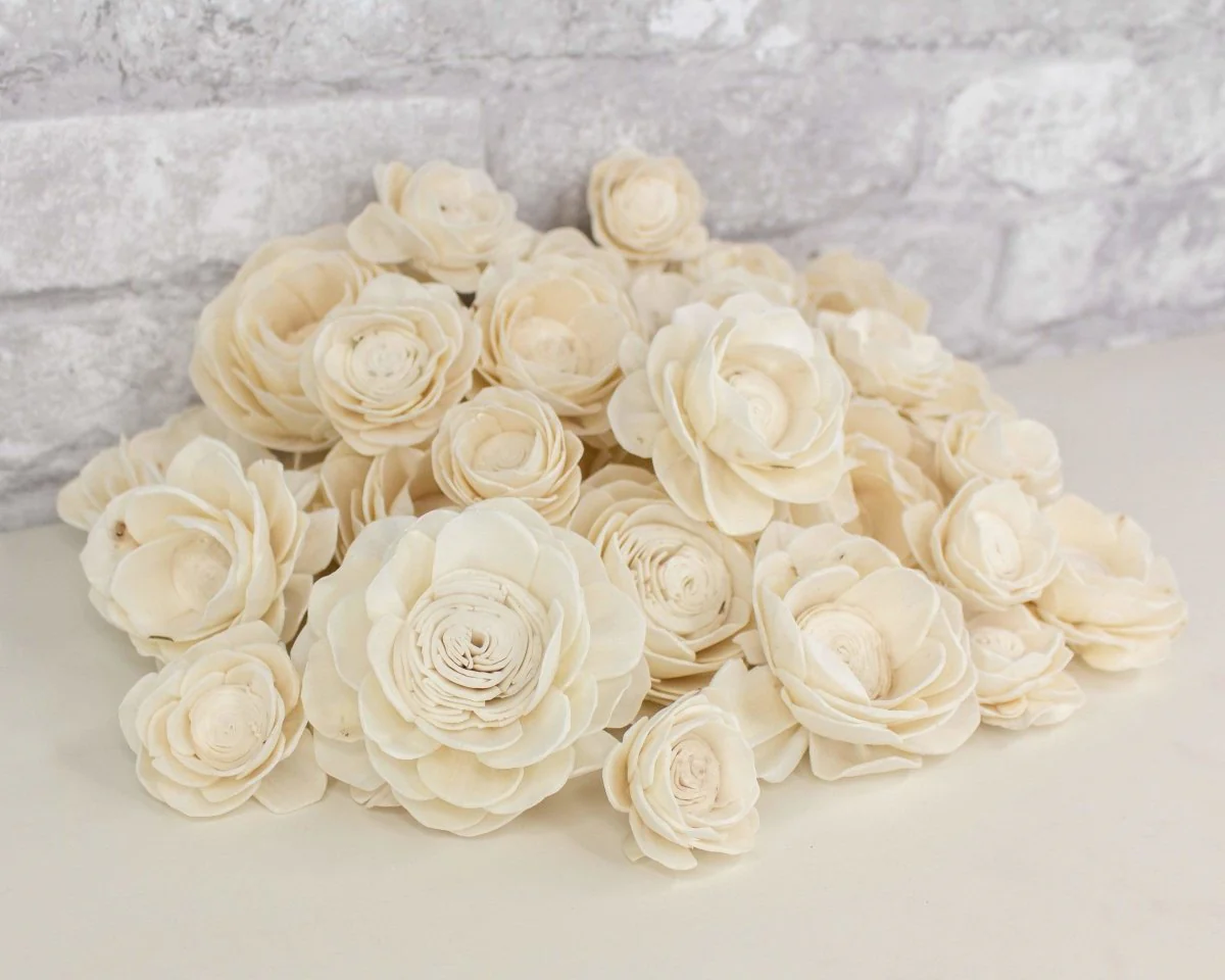 Lotus Variety Pack - Image 4