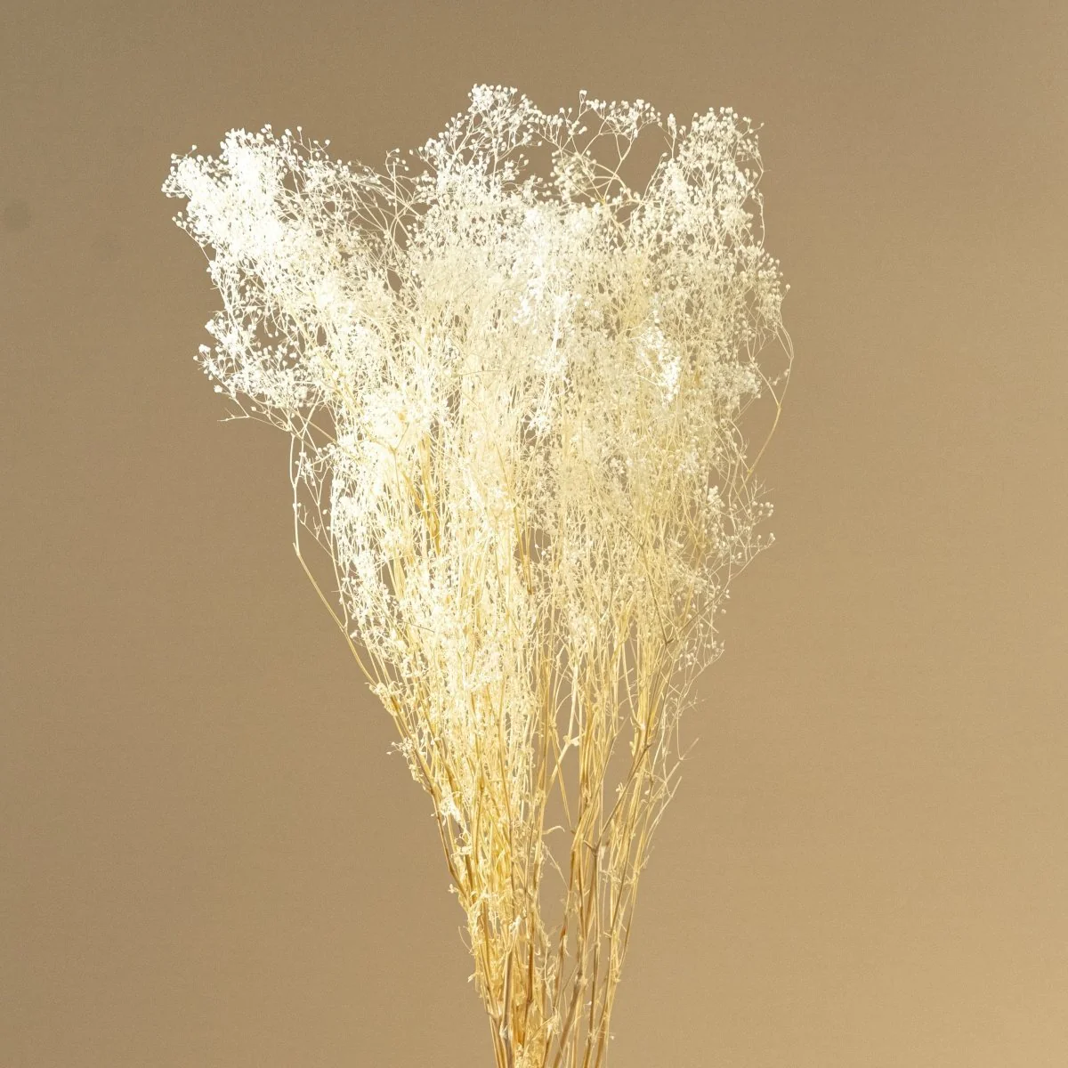 Wholesale Starter Bundle - Image 11