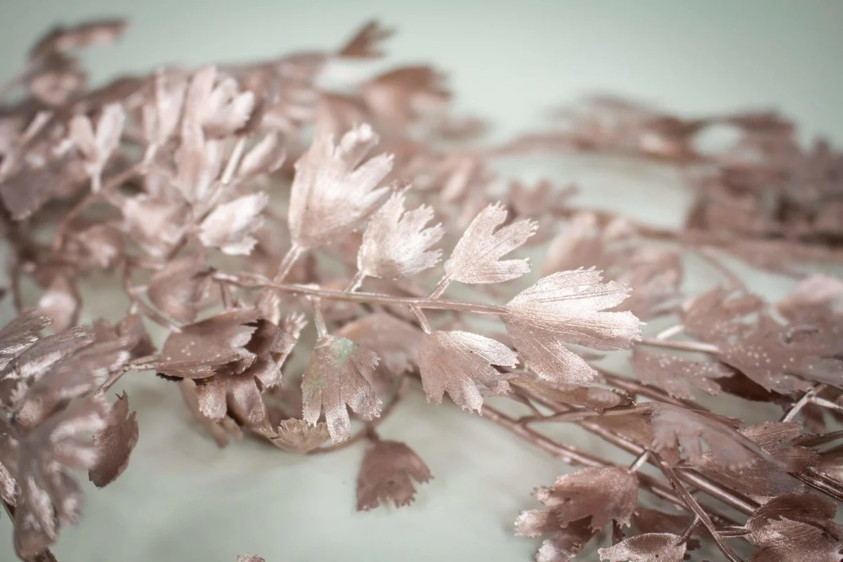 Wild Fern Spray - Rose Gold - Image 2