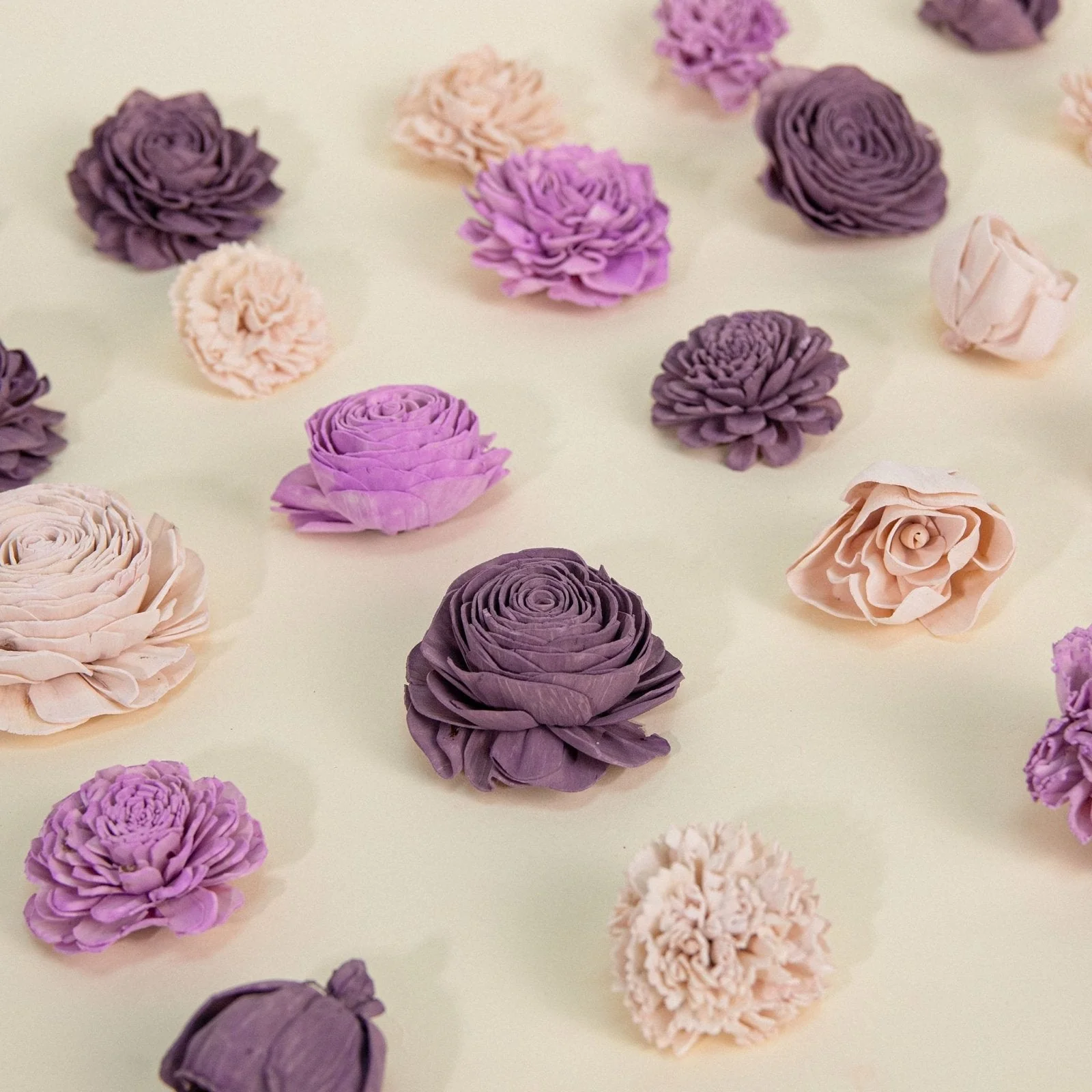 Zen Garden Dyed Assortment 25 Pack - No Bark - Image 2
